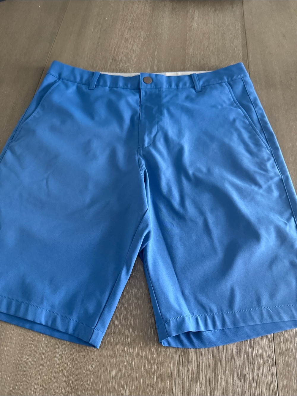 Puma Men's Light Blue Performance Shorts